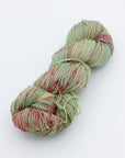 80/20 Sock | Lichen & Lace