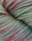 80/20 Sock | Lichen & Lace