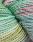 80/20 Sock | Lichen & Lace