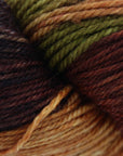 80/20 Sock | Lichen & Lace