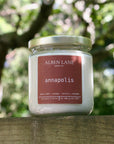Fall Collection | Alben Lane Candle Co