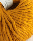 Crazy Sexy Wool | Wool & The Gang
