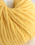 Crazy Sexy Wool | Wool & The Gang
