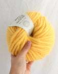 Crazy Sexy Wool | Wool & The Gang