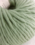 Crazy Sexy Wool | Wool & The Gang