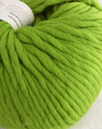 Crazy Sexy Wool | Wool & The Gang