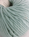 Crazy Sexy Wool | Wool & The Gang