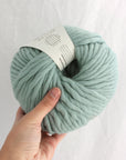 Crazy Sexy Wool | Wool & The Gang