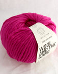 Crazy Sexy Wool | Wool & The Gang