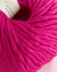 Crazy Sexy Wool | Wool & The Gang