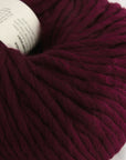 Crazy Sexy Wool | Wool & The Gang