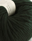 Crazy Sexy Wool | Wool & The Gang