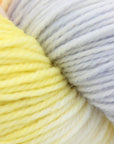 80/20 Sock | Lichen & Lace
