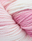 80/20 Sock | Lichen & Lace