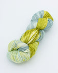 80/20 Sock | Lichen & Lace