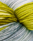 80/20 Sock | Lichen & Lace