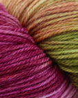 80/20 Sock | Lichen & Lace