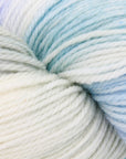 80/20 Sock | Lichen & Lace