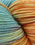 80/20 Sock | Lichen & Lace