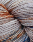 80/20 Sock | Lichen & Lace