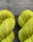 80/20 Sock | Lichen & Lace