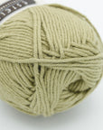 Eco Cotton DK | Estelle