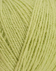 Merino