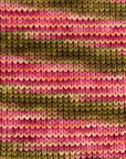 80/20 Sock | Lichen & Lace