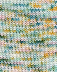 80/20 Sock | Lichen & Lace