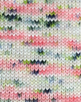 80/20 Sock | Lichen & Lace