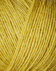 Merino
