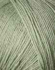 Merino