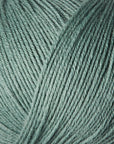 Merino