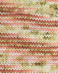 80/20 Sock | Lichen & Lace