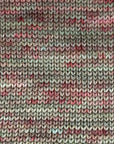 80/20 Sock | Lichen & Lace