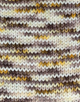 80/20 Sock | Lichen & Lace
