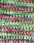 80/20 Sock | Lichen & Lace
