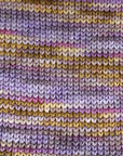 80/20 Sock | Lichen & Lace