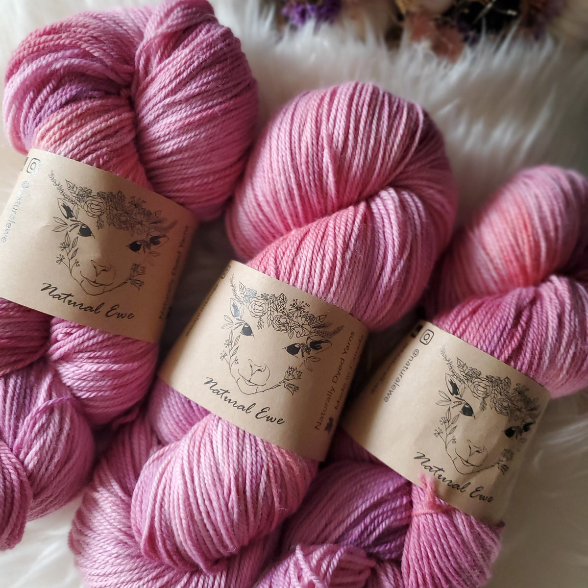Ewe Color Echo | Natural Ewe Yarns – Fia Fia