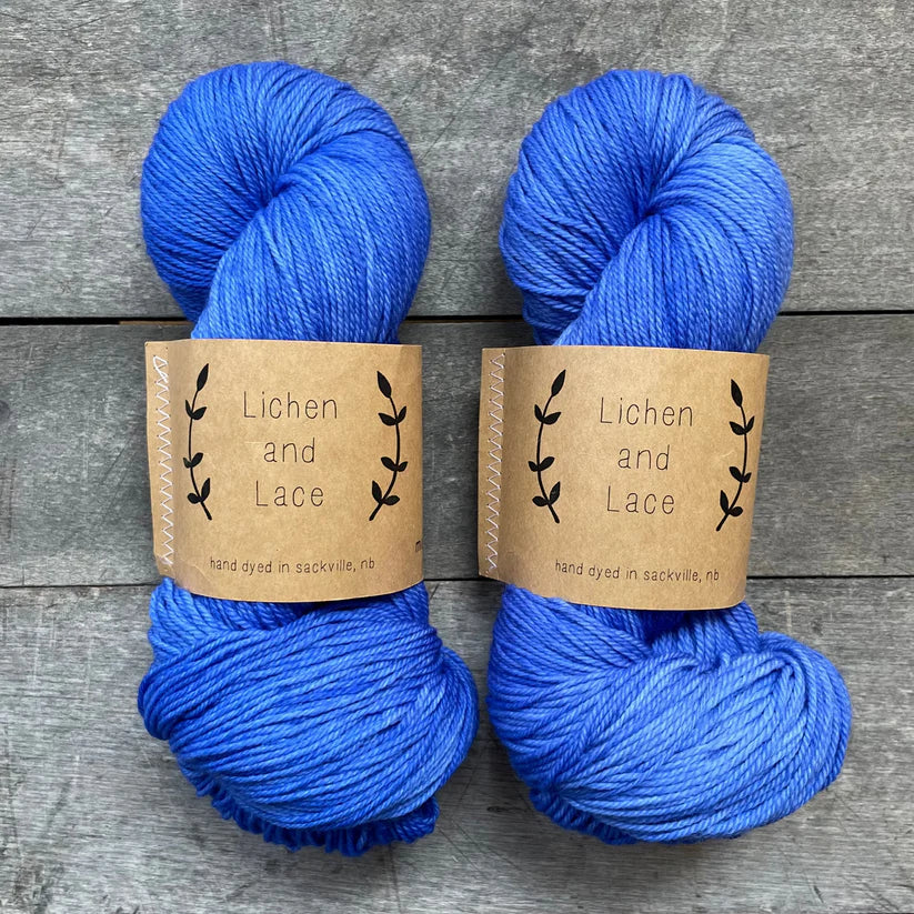 80/20 Sock | Lichen &amp; Lace