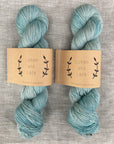 80/20 Sock | Lichen & Lace
