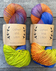 80/20 Sock | Lichen & Lace