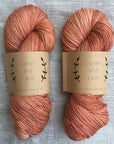 80/20 Sock | Lichen & Lace
