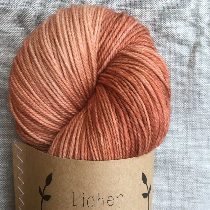 80/20 Sock | Lichen &amp; Lace