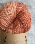 80/20 Sock | Lichen & Lace