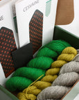 Latvian Mitten Kit | Sena Klets x Maruta Grasmane