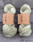 80/20 Sock | Lichen & Lace