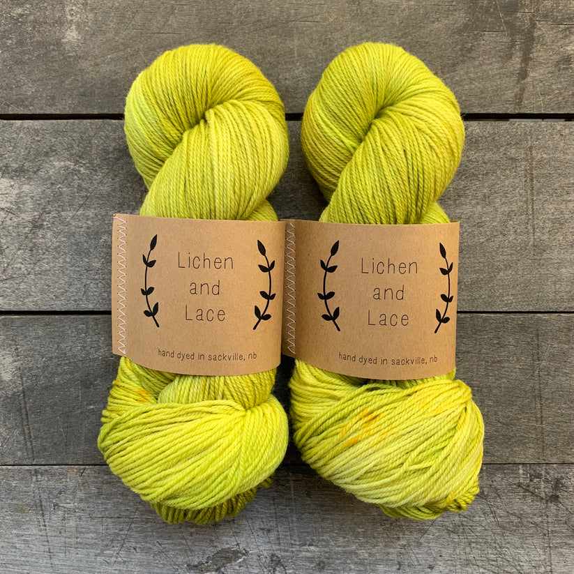 80/20 Sock | Lichen &amp; Lace