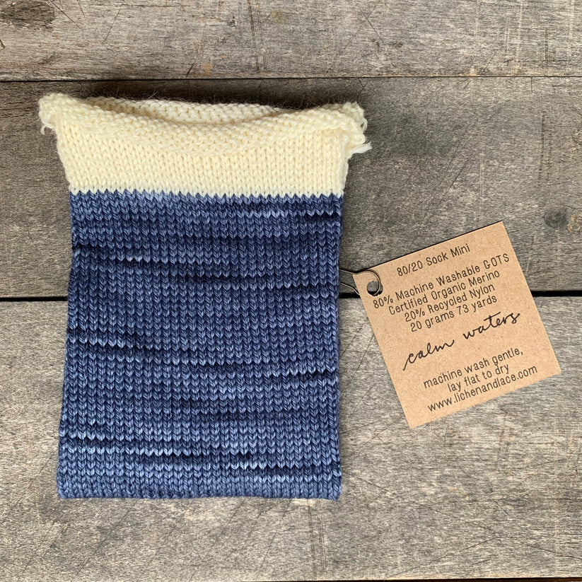 80/20 Sock | Lichen &amp; Lace