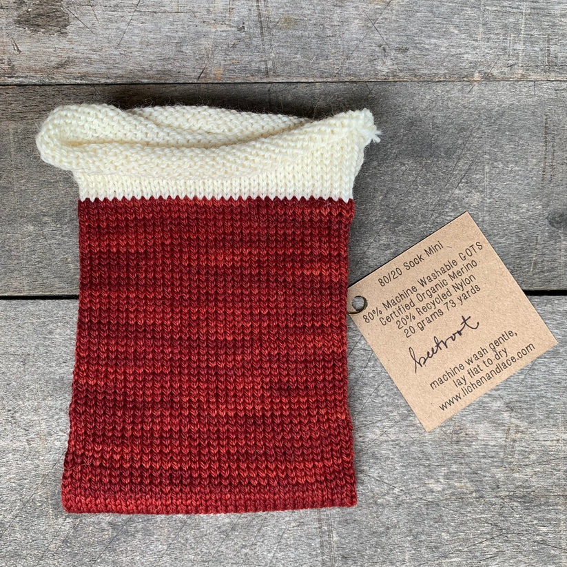 80/20 Sock | Lichen &amp; Lace
